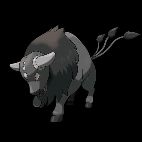 Tauros-Paldea-Combat