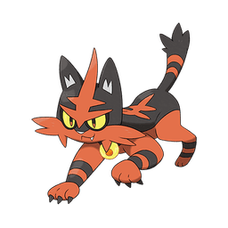 Torracat